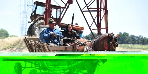 Preţul unei căruţe variază între 100 şi 120 de lei FOTO Mediafax