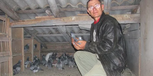 Marin Lupu cu porumbeii