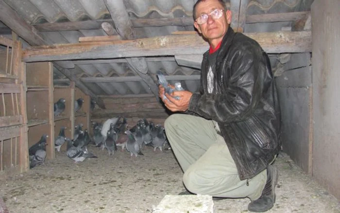 Marin Lupu cu porumbeii