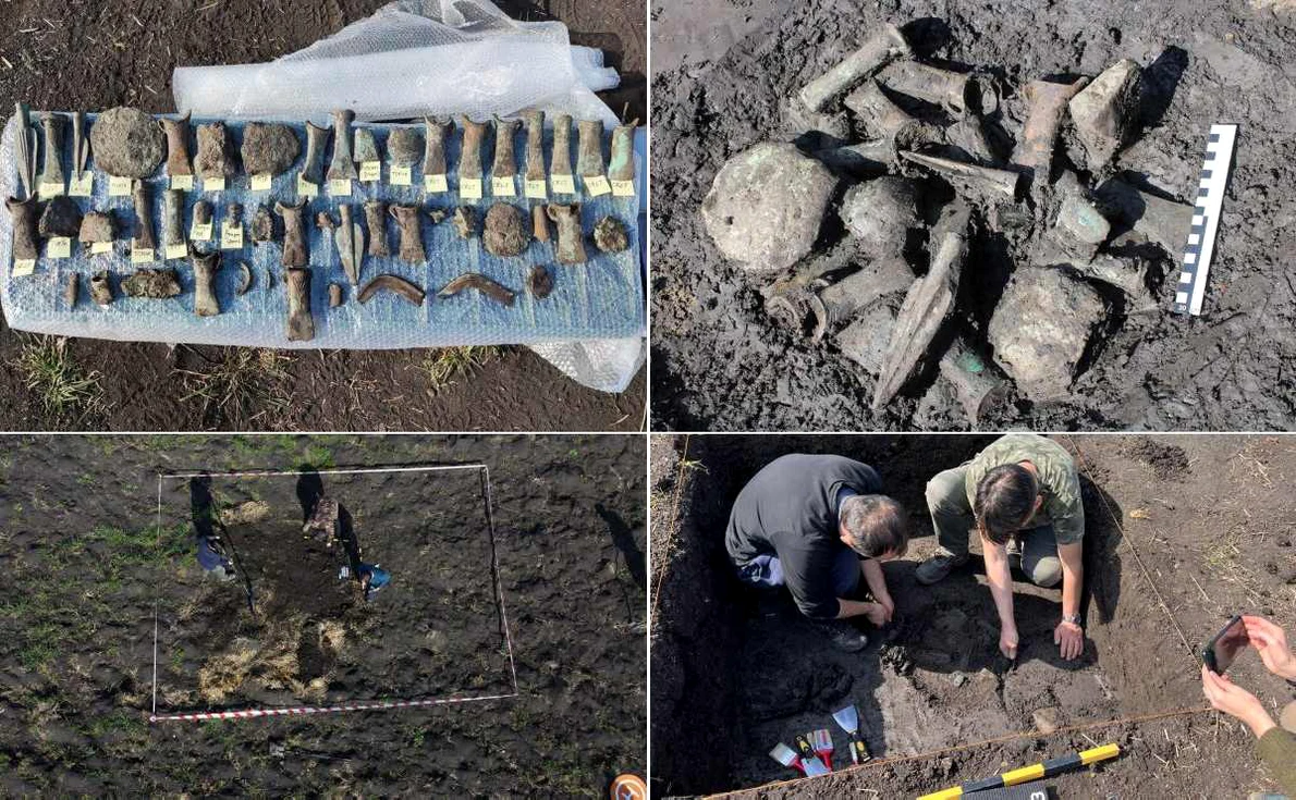 Depozit de bronzuri vechi de peste 3.000 de ani, descoperit de detectoriști în Alba (foto: Muzeul Național al Unirii Alba Iulia)