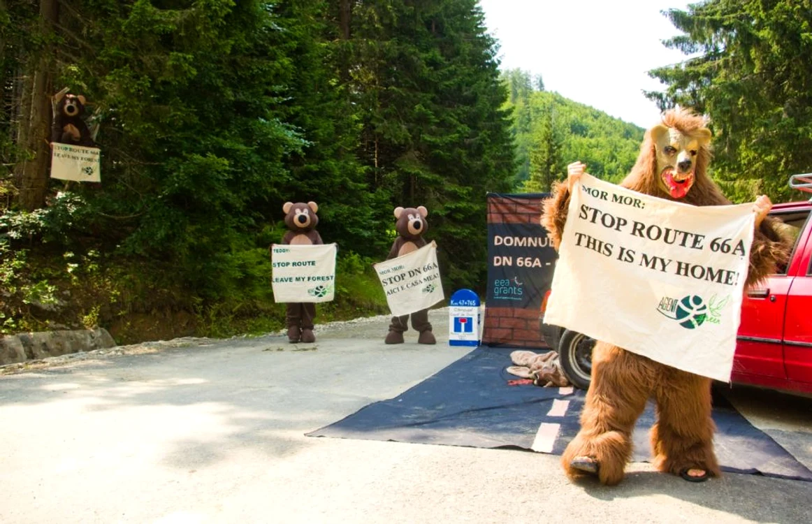 Ecologiştii au protestat în 2010 împotriva lucrărilor. FOTO: Agent Green.