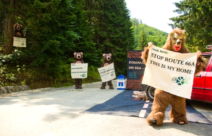 Ecologiştii au protestat în 2010 împotriva lucrărilor. FOTO: Agent Green.