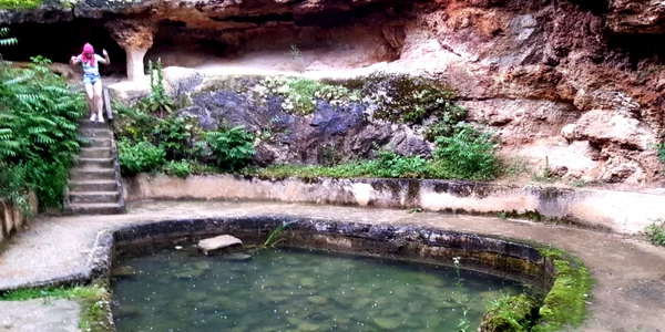 germisara