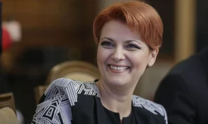 Vulcanii noroioşi ai doamnei Vasilescu jpeg