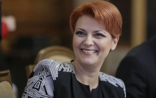 Vulcanii noroioşi ai doamnei Vasilescu jpeg