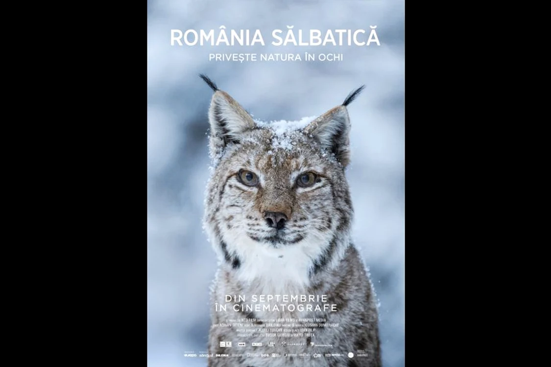 Adrian Titieni, naratorul filmului „România Sălbatică”, cel mai complex documentar despre natura din țara noastră jpeg