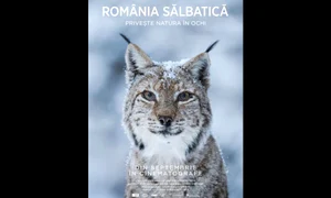 Adrian Titieni, naratorul filmului „România Sălbatică”, cel mai complex documentar despre natura din țara noastră jpeg