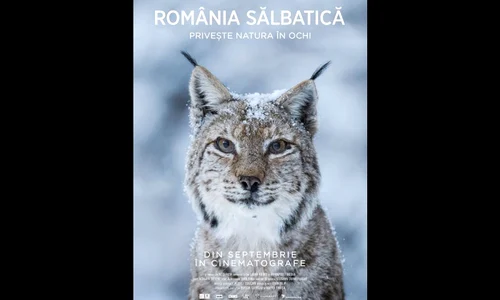Adrian Titieni, naratorul filmului „România Sălbatică”, cel mai complex documentar despre natura din țara noastră jpeg