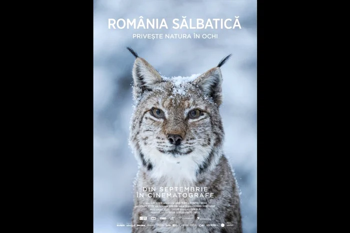 Adrian Titieni, naratorul filmului „România Sălbatică”, cel mai complex documentar despre natura din țara noastră jpeg