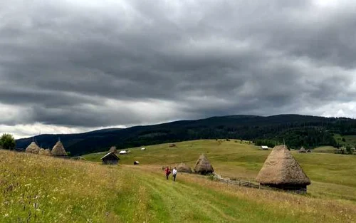 zapodie alba apuseni