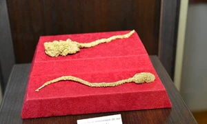 Şoparla de aur, muzeul Brad, foto Facebook jpg