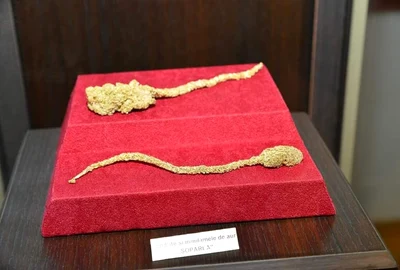 Şoparla de aur, muzeul Brad, foto Facebook jpg