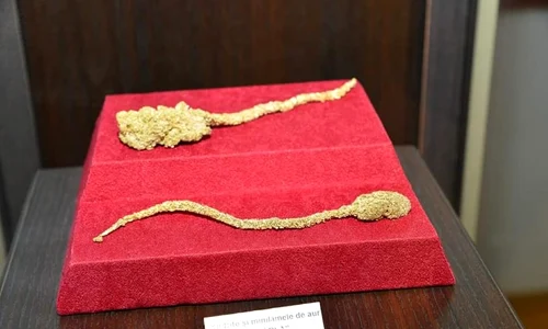 Şoparla de aur, muzeul Brad, foto Facebook jpg