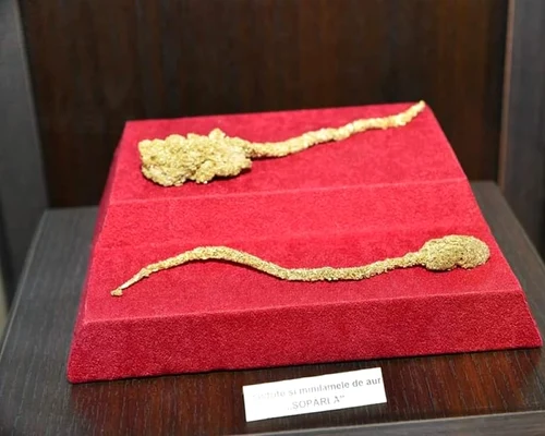 Şoparla de aur, muzeul Brad, foto Facebook jpg