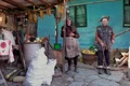 buzau 2 png