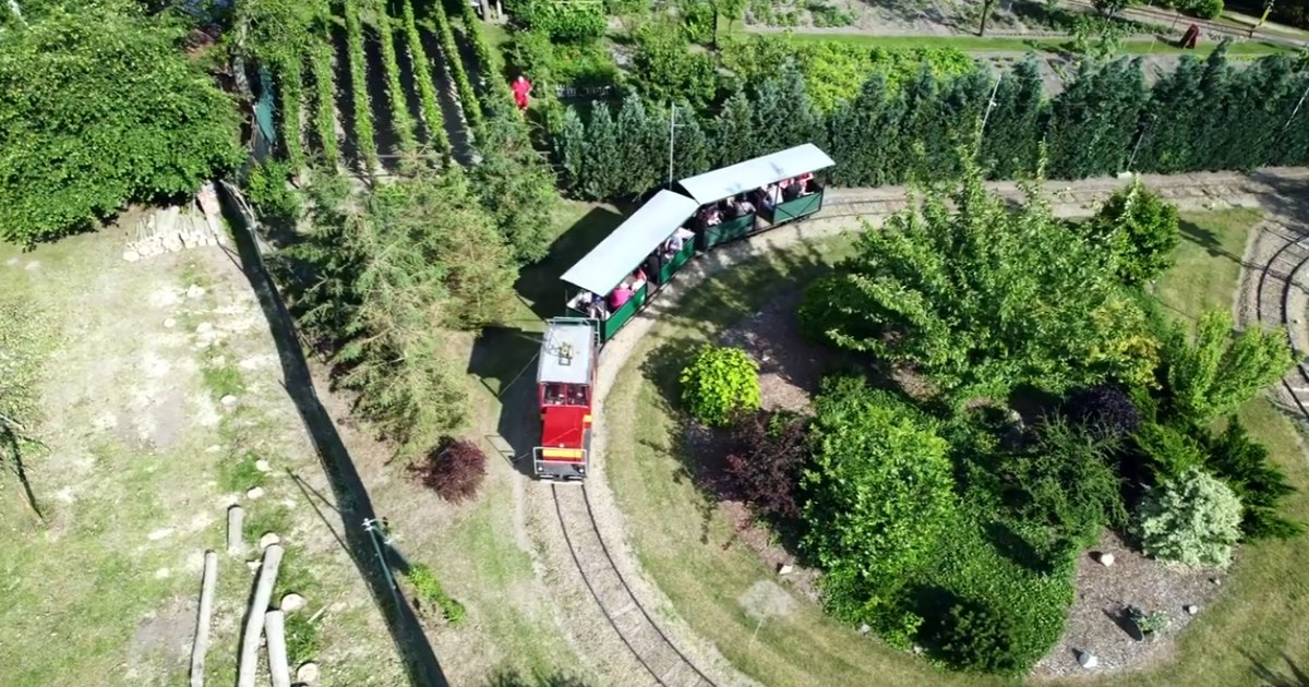 Un ceh care şi-a dorit să fie mecanic de locomotivă şi-a construit propria cale ferată în grădină. Are 650 de metri de șine, trei trenuri, gări şi macazuri