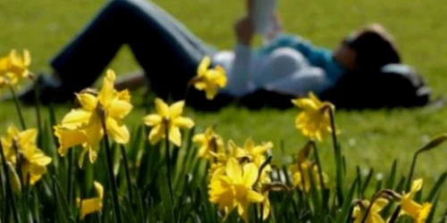 Peste câteva zile, vremea se va răci din nou