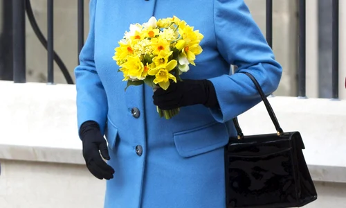 Regina Elisabeta jpeg