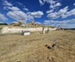 Cetatea Carsium (© Facebook / Muzeul de Istorie Națională și Arheologie Constanța)