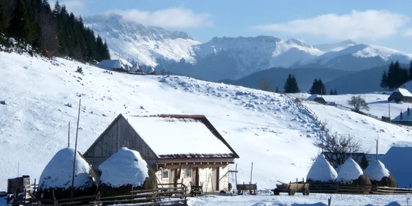 Peisaj de iarnă la Fundata SURSA FOTO Costel Crângan