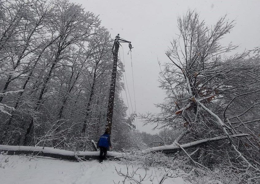 În Slovacia, o furtună de zăpadă a lăsat fără electricitate peste nouă mii de gospodării