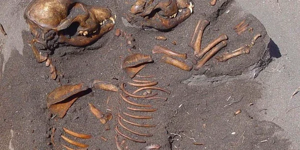 Doar un sit românesc şi unul rus s-au dovedit a conţine urme mai vechi ale Homo sapiens decât cele descoperite în Crimeea