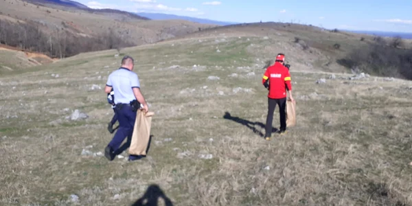 cadavru inelul doamnei jpeg