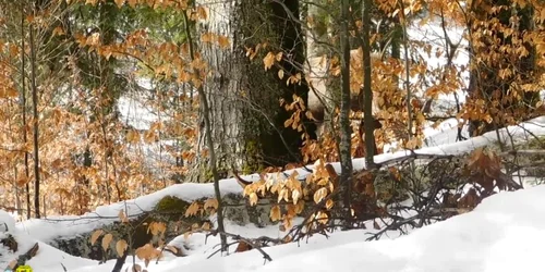 5aa94bc9df52022f758d9aaa jpg