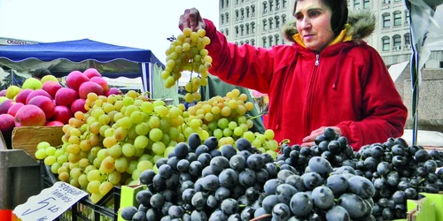 "Toamna piteşteană" se încheie astăzi