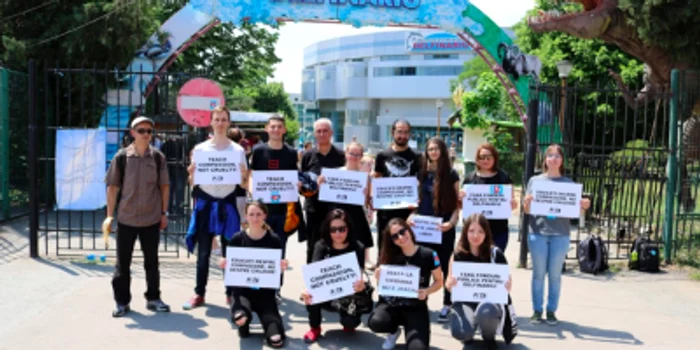 Protest la Delfinariul din Constanţa pentru eliberarea delfinilor Sursa FREE