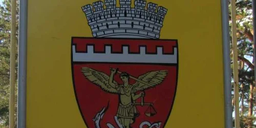 stema zalau