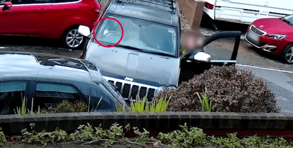 Câinele unei femei a provocat un accident rutier după ce a ajuns la volanul autoturismului VIDEO