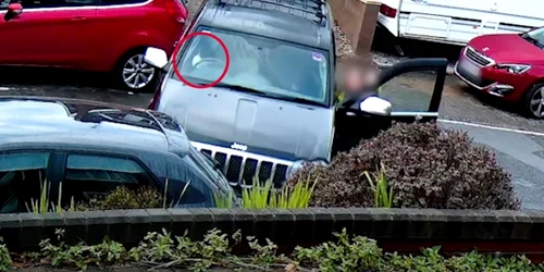 Patrupedul unei femei a provocat un accident rutier după ce ar fi ajuns la volanul autoturismului. Foto: Captură video YouTube