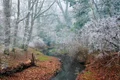 parc Simeria jpeg