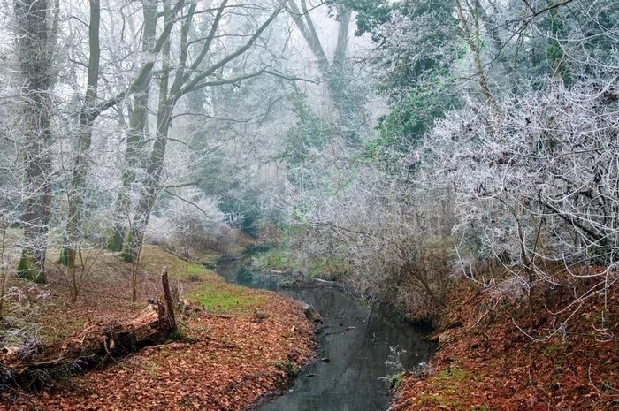 Parcul din Simeria, Hunedoara, este unic în România Foto: Facebook