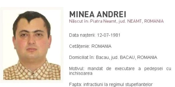 mineaandrei1