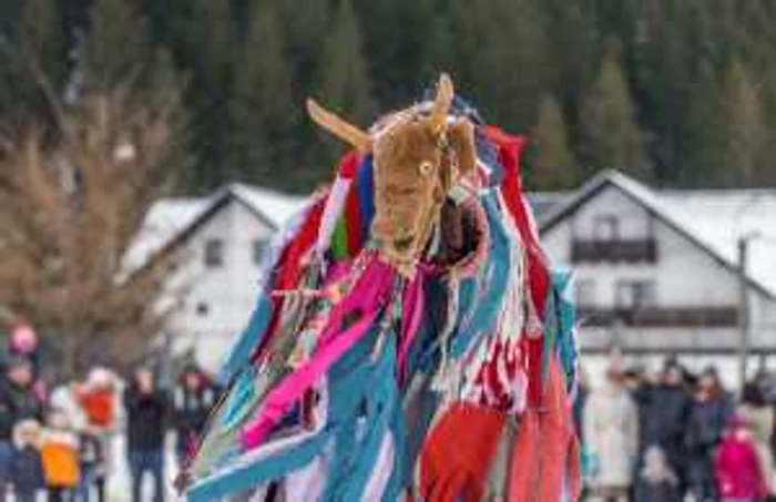 festivalul datinilor şi obiceiurilor de iarnă foto catalin urdoi 