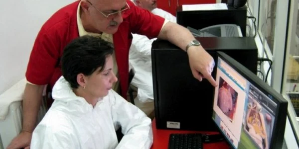 dan marculescu