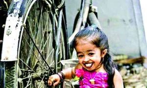 CLIIMA20090922 0195 1 jpeg