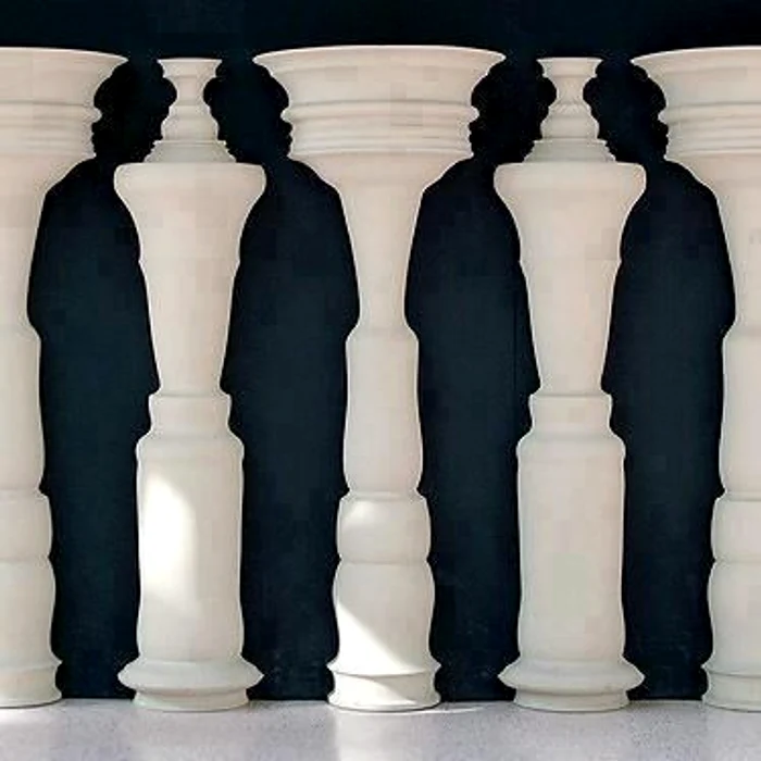 Tu ce vezi în această imagine?