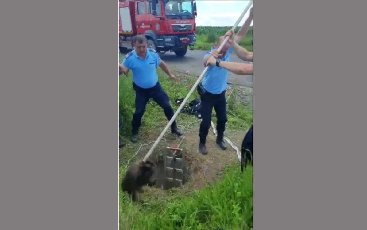 Sursa IJJ Buzău