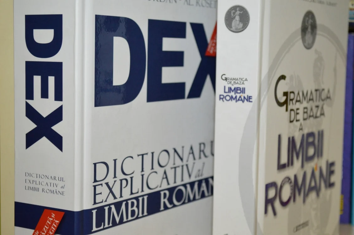gramatica dex limba romana