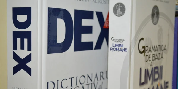 gramatica dex limba romana