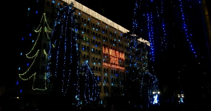 Un brad va ajunge în faţa Palatului Administrativ din Ploieşti. FOTO: arhivă Adevărul Ploieşti