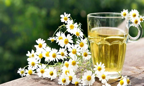 1 81661 original jpg jpeg