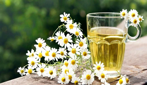 1 81661 original jpg jpeg