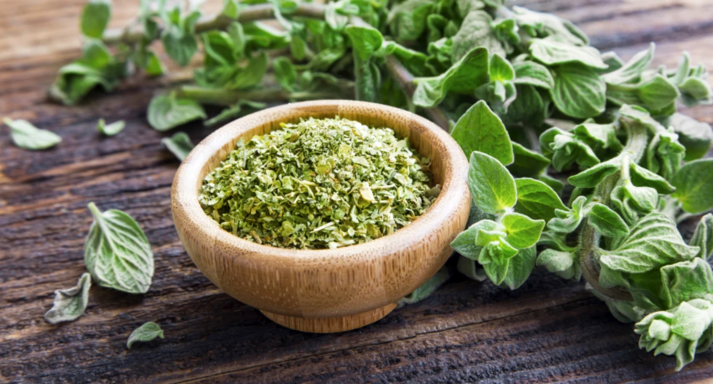 
    Cunoscut ca ingredient în bucătărie, oregano poate fi folosit şi ca remediu natural pentru diverse afecţiuni.Foto: Shutterstock  