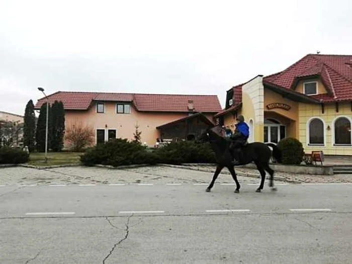 Cu calul de la Timişoara în oraşul Unirii