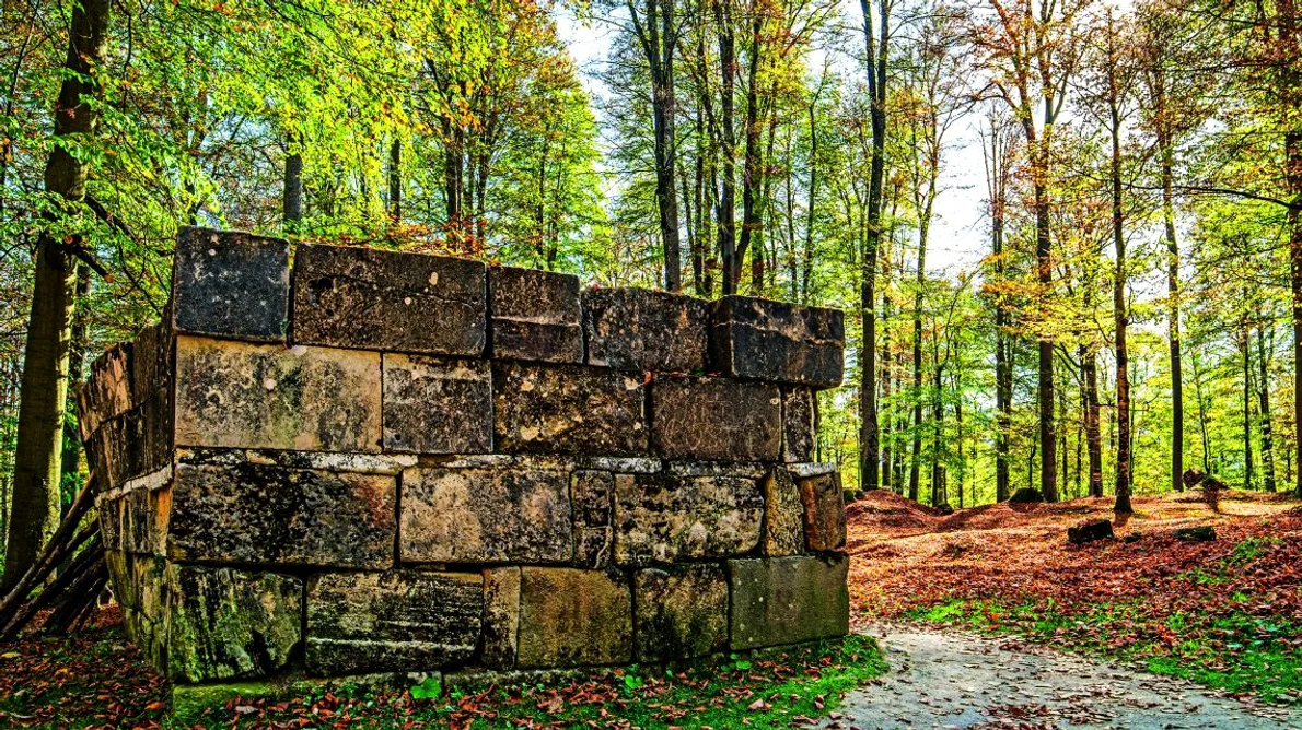 Patrimoniu în pericol! Cetăţile dacice, distruse de braconierii arheologici jpeg