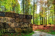 Patrimoniu în pericol! Cetăţile dacice, distruse de braconierii arheologici jpeg